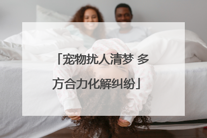 宠物扰人清梦 多方合力化解纠纷