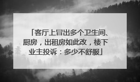 客厅上冒出多个卫生间、厨房，出租房如此改，楼下业主投诉：多少不舒服