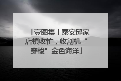 壹图集丨泰安邱家店镇收忙，收割机“穿梭”金色海洋