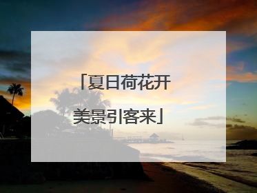 夏日荷花开 美景引客来