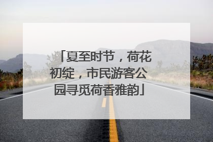 夏至时节，荷花初绽，市民游客公园寻觅荷香雅韵