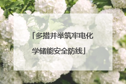 多措并举筑牢电化学储能安全防线