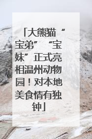 大熊猫“宝弟”“宝妹”正式亮相温州动物园！对本地美食情有独钟