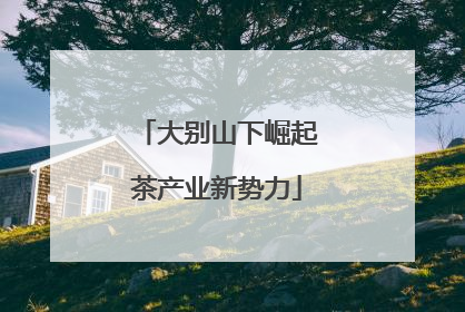 大别山下崛起茶产业新势力