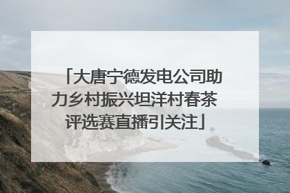 大唐宁德发电公司助力乡村振兴坦洋村春茶评选赛直播引关注
