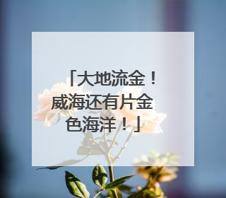 大地流金！威海还有片金色海洋！