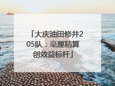 大庆油田修井205队：毫厘精算创效益标杆