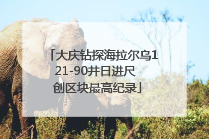 大庆钻探海拉尔乌121-90井日进尺 创区块最高纪录