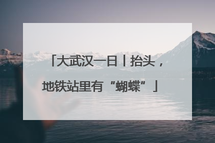 大武汉一日丨抬头，地铁站里有“蝴蝶”