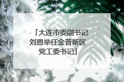 大连市委副书记刘恩举任金普新区党工委书记