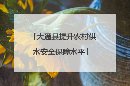 大通县提升农村供水安全保障水平