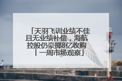 天羽飞训业绩不佳且无业绩补偿，海航控股仍豪掷8亿收购丨一周市场观察