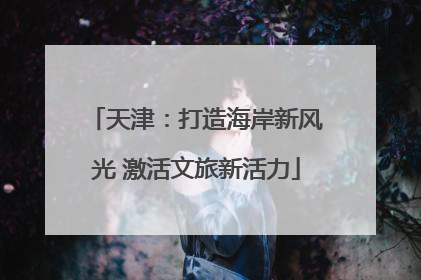 天津：打造海岸新风光 激活文旅新活力