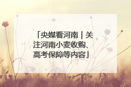 央媒看河南｜关注河南小麦收购、高考保障等内容