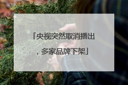 央视突然取消播出，多家品牌下架