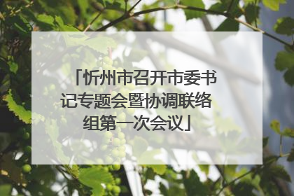 忻州市召开市委书记专题会暨协调联络组第一次会议