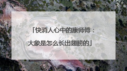 快消人心中的康师傅：大象是怎么长出翅膀的