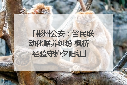 彬州公安：警民联动化赡养纠纷 枫桥经验守护夕阳红