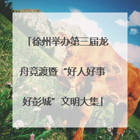 徐州举办第三届龙舟竞渡暨“好人好事好彭城”文明大集