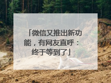 微信又推出新功能，有网友直呼：终于等到了