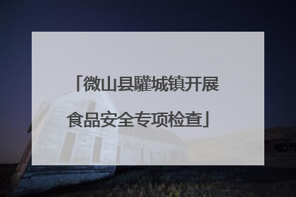 微山县驩城镇开展食品安全专项检查