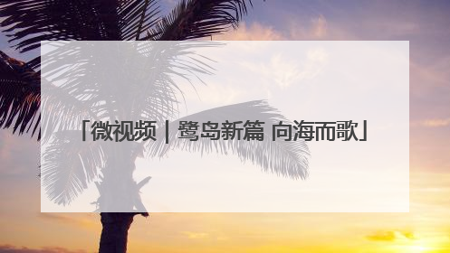 微视频｜鹭岛新篇 向海而歌