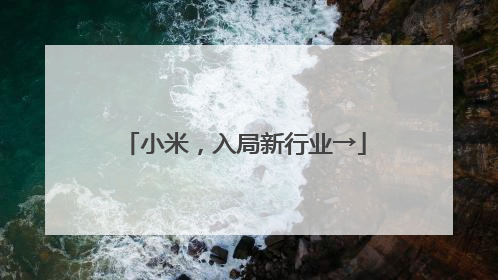 小米，入局新行业→