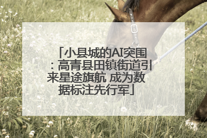小县城的AI突围：高青县田镇街道引来星途旗航 成为数据标注先行军