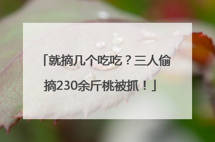 就摘几个吃吃？三人偷摘230余斤桃被抓！