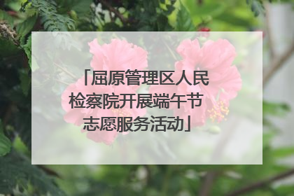 屈原管理区人民检察院开展端午节志愿服务活动