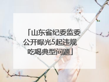 山东省纪委监委公开曝光5起违规吃喝典型问题