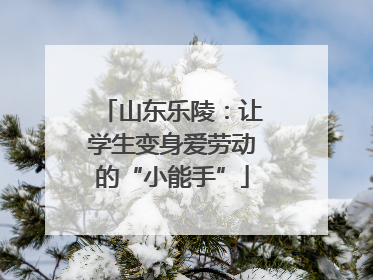 山东乐陵：让学生变身爱劳动的“小能手”