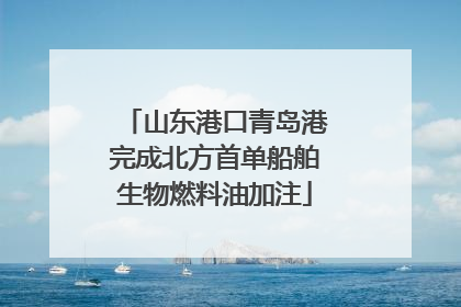 山东港口青岛港完成北方首单船舶生物燃料油加注