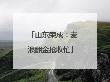 山东荣成：麦浪翻金抢收忙