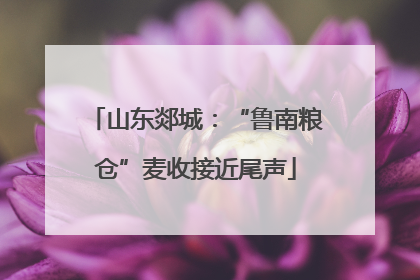 山东郯城：“鲁南粮仓”麦收接近尾声