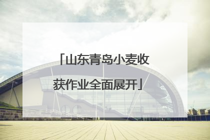 山东青岛小麦收获作业全面展开