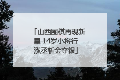 山西围棋再现新星 14岁小将行泓丞斩金夺银