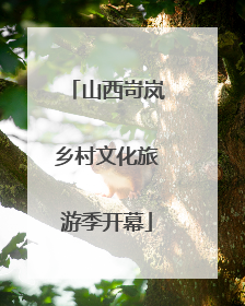 山西岢岚乡村文化旅游季开幕