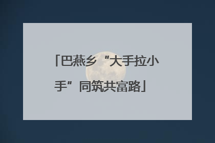 巴燕乡“大手拉小手”同筑共富路
