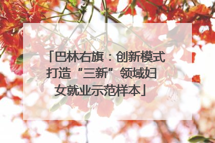 巴林右旗：创新模式 打造“三新”领域妇女就业示范样本