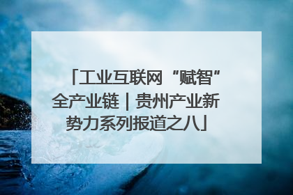 工业互联网“赋智”全产业链｜贵州产业新势力系列报道之八