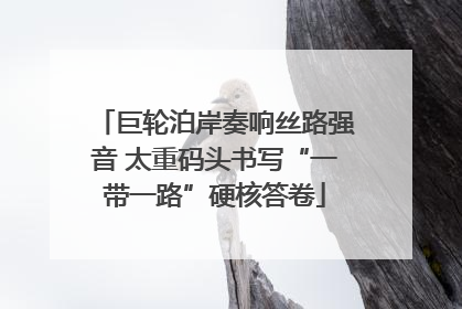 巨轮泊岸奏响丝路强音 太重码头书写“一带一路”硬核答卷