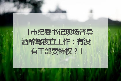 市纪委书记现场督导酒醉驾夜查工作：有没有干部耍特权？