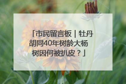 市民留言板｜牡丹胡同40年树龄大杨树因何被扒皮？