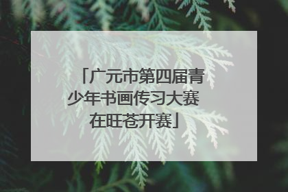 广元市第四届青少年书画传习大赛在旺苍开赛