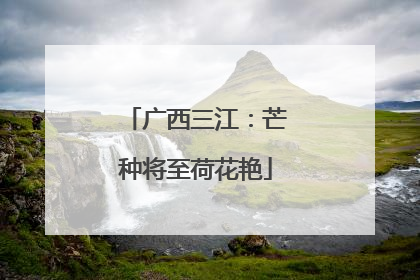 广西三江：芒种将至荷花艳