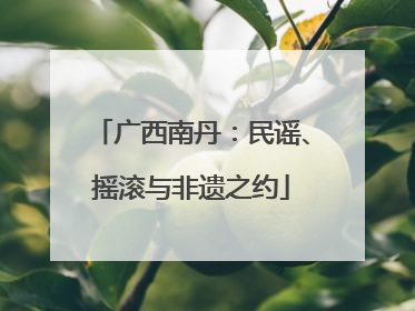 广西南丹：民谣、摇滚与非遗之约
