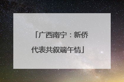 广西南宁：新侨代表共叙端午情