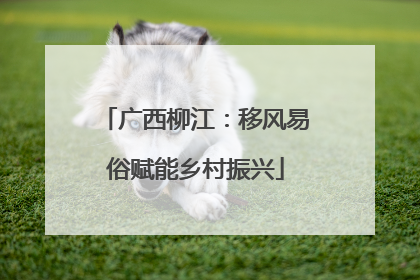 广西柳江：移风易俗赋能乡村振兴