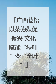 广西苍梧以茶为媒促振兴 文化赋能“绿叶”变“金叶”